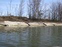 Piastre canale 1